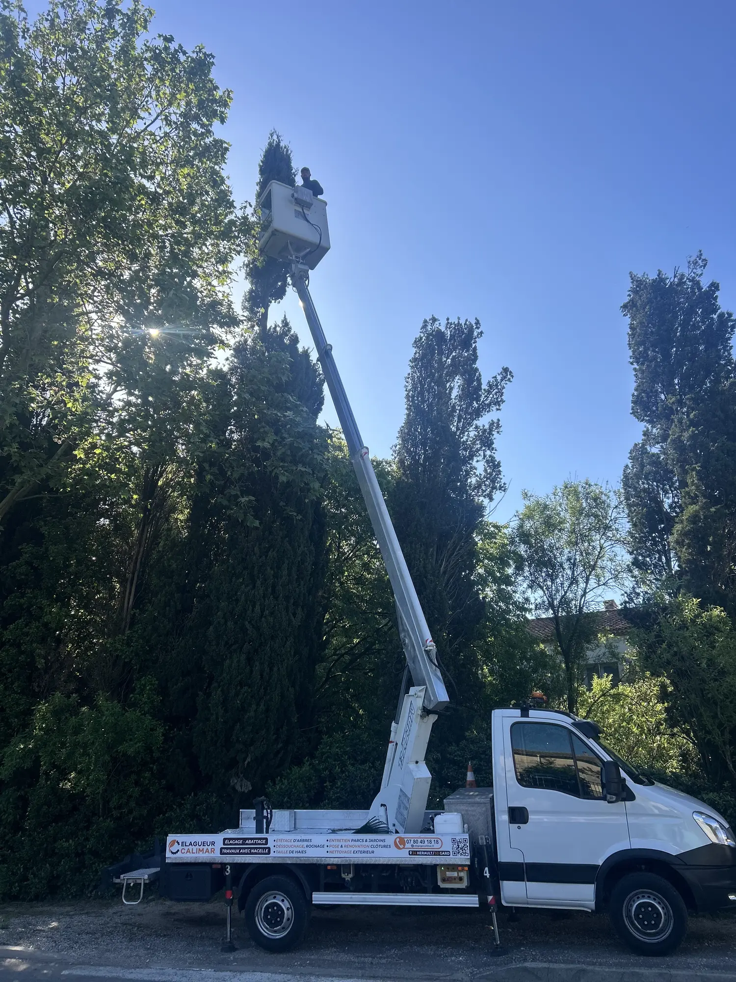 Nacelle CALIMAR MAKKY en intervention d'élagage en hauteur