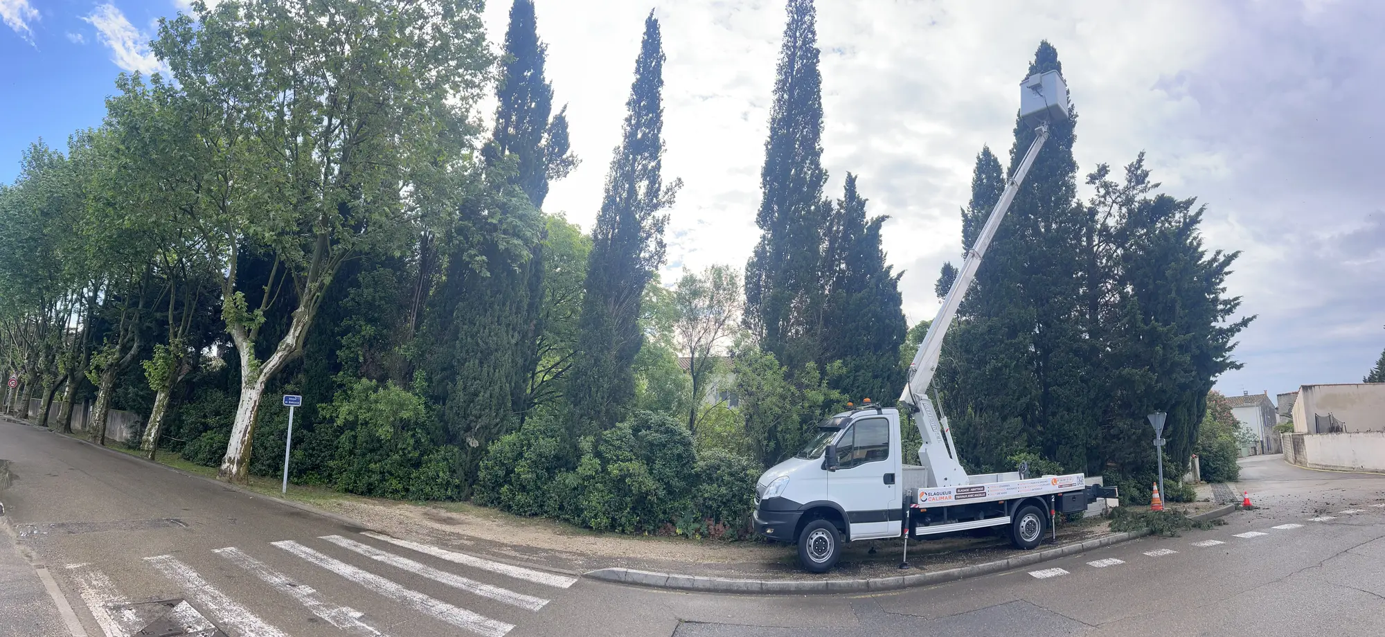 Camion nacelle CALIMAR MAKKY sur chantier d'élagage de cyprès